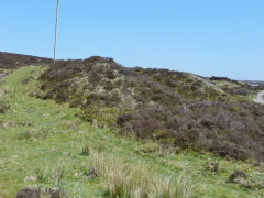 
Pen-fford-goch tramroad formation, May 2012